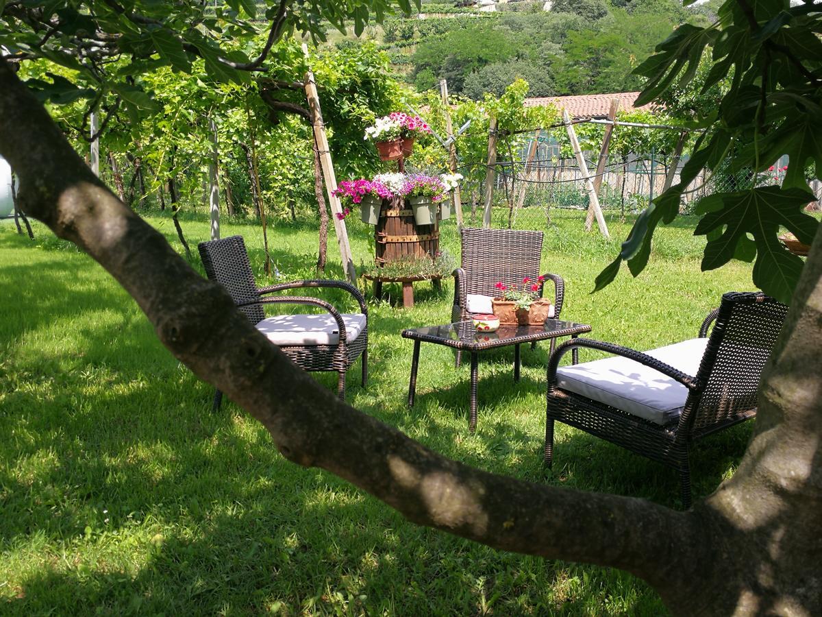 B&B Pontesello Colognola ai Colli Ngoại thất bức ảnh